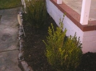 Mulching by Jerrod Briggs for Jack . in Portsmouth, VA
