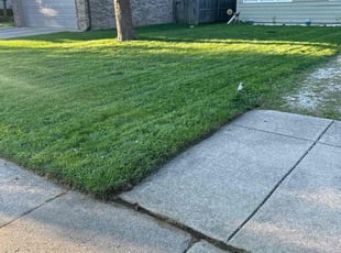 Martha C.'s Lawn Service service result