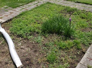 Weeding by Jamil Hafeeza for Kristine K. in Deptford, NJ