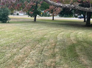 Zee T.'s Lawn Care service result