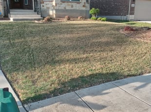 Leaf Removal by Benjamin Garza for Stacey N. in San Antonio, TX