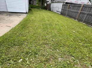 Cleanups by Christian Worsley for Pamela R. in Detroit, MI