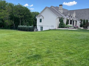 Sandra R.'s Lawn Mowing service result