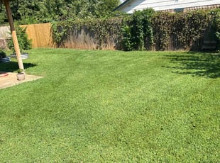 Joshua L.'s Lawn Service service result