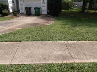 Antoinette M.'s Yard Cutting service result