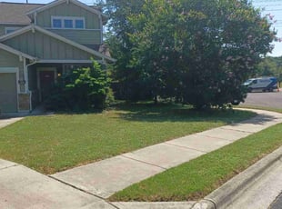 Dori P.'s Yard Cutting service result