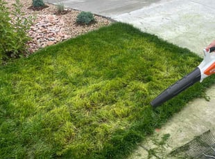 Cleanups by Riccardo Marquez for Doni F. in Colorado Springs, CO