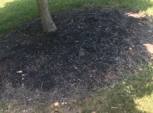 Cleanups by Dylan Hodges for Tracey L. in Cincinnati, OH