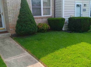 Bush Trimming by John Bell for John T. in Walkersville, MD
