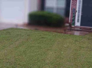 Bush Trimming by Virgil Greene for Samia B. in Stockbridge, GA