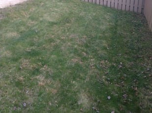 Cleanups by Tyrone Wilkins for Cohlene H. in Laurel, MD