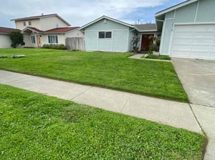 Bob H.'s Lawn Maintenance service result