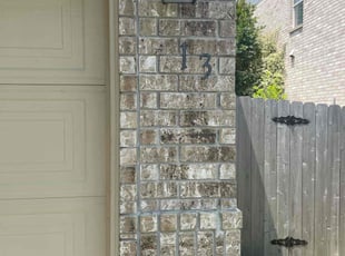 Bush Trimming by Stanmore Hinds for Carlotta M. in Cibolo, TX