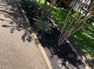 Weeding by Jose Rodriguez for Shaneel S. in Flower Mound, TX