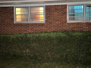 Bush Trimming by Kasandra Velasco for Joseph J. in Louisville, KY