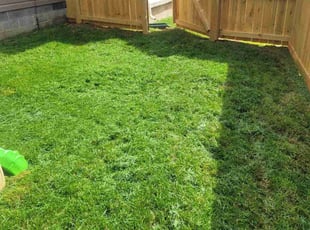 Jacob M.'s Yard Cutting service result