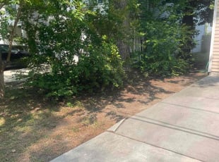 Leaf Removal by Bryan Oren for Lisa H. in Virginia Beach, VA