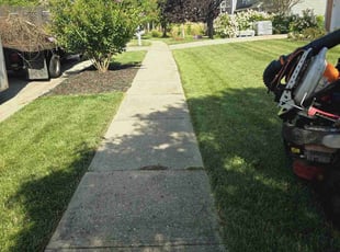 Katie D.'s Lawn Service service result