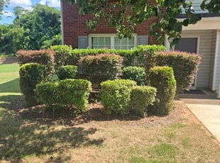 Bush Trimming by Julius Snipes for Stefanie P. in Ellenwood, GA