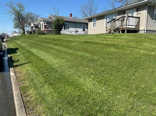 Katelia R.'s Yard Cutting service result