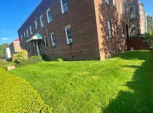 Randi S.'s Lawn Mowing Service service result