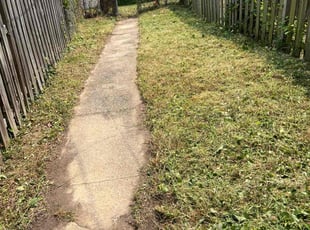 Cleanups by Dimas Lopez for Hanjie G. in Baltimore, MD