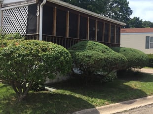 Bush Trimming by Phillip Kukla for Patti K. in Wheeling, IL