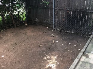Cleanups by Darren Burch for Lois R. in Philadelphia, PA