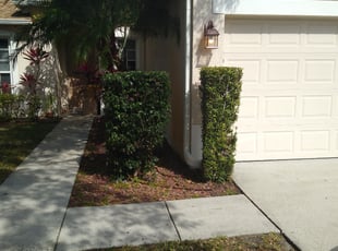 Bush Trimming by Corey Johnson for Juanita T. in Melbourne, FL