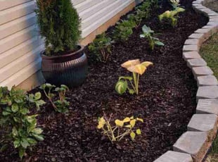 Mulching by Levin Lazo for ROBERT S. in Conroe, TX