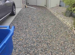 Weeding by Rick Mallett for Bruce R. in Johnstown, CO