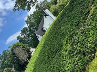 Bush Trimming by Armando J for Teona B. in Lawrenceville, GA