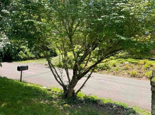 Bush Trimming by Howard Johnson for Lori A. in Knoxville, TN