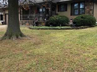 Leaf Removal by Brett Henson for Tara L. in Springfield, MO