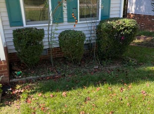 Bush Trimming by LaWanda Moses for Drayton A. in Richmond, VA