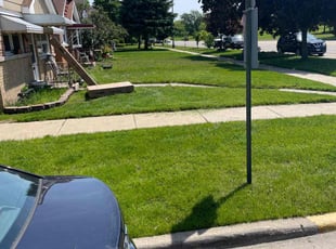 Pearl C.'s Grass Cutting service result