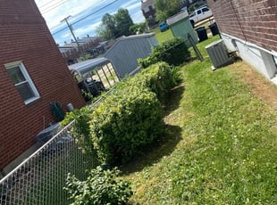 Bush Trimming by Jordan Pyle for Sharna B. in Baltimore, MD