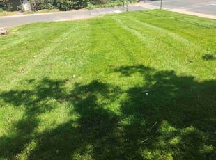 Sonja M.'s Lawn Service service result
