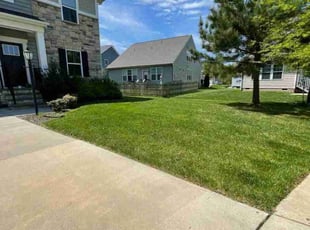 Christopher P.'s Yard Cutting service result