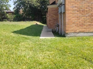 Bush Trimming by Leo Hollies for Nolan M. in Baton Rouge, LA