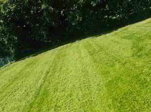 Kristina C.'s Yard Cutting service result