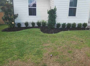 Weeding by George Lombas for Kristen B. in New Orleans, LA