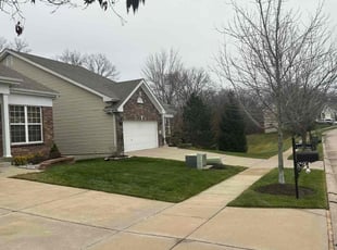 Leaf Removal by Genee Buckner for Patrick K. in O'Fallon, MO