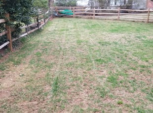 Leaf Removal by Miguel Santos for Ted R. in North Potomac, MD