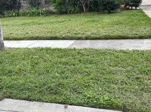 Robert J.'s Grass Cutting service result
