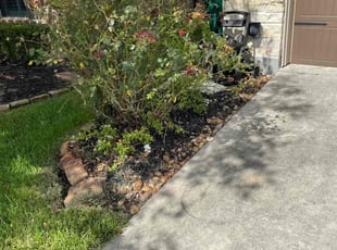 Cleanups by Austin Mckenzie for Jaime W. in Magnolia, TX