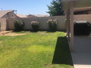 Bush Trimming by David (Dave) Danylyuk for Thomas R. in Gilbert, AZ