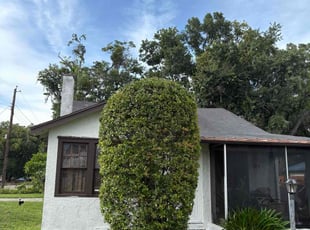Bush Trimming by Jalon Rohrbaugh for Charles R. in Lakeland, FL