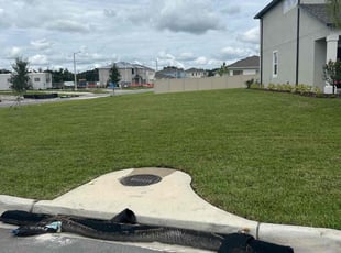 Paul H.'s Lawn Mowing Service service result