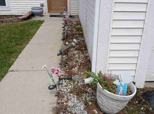 Weeding by Anthony Avila for Omar O. in Romeoville, IL